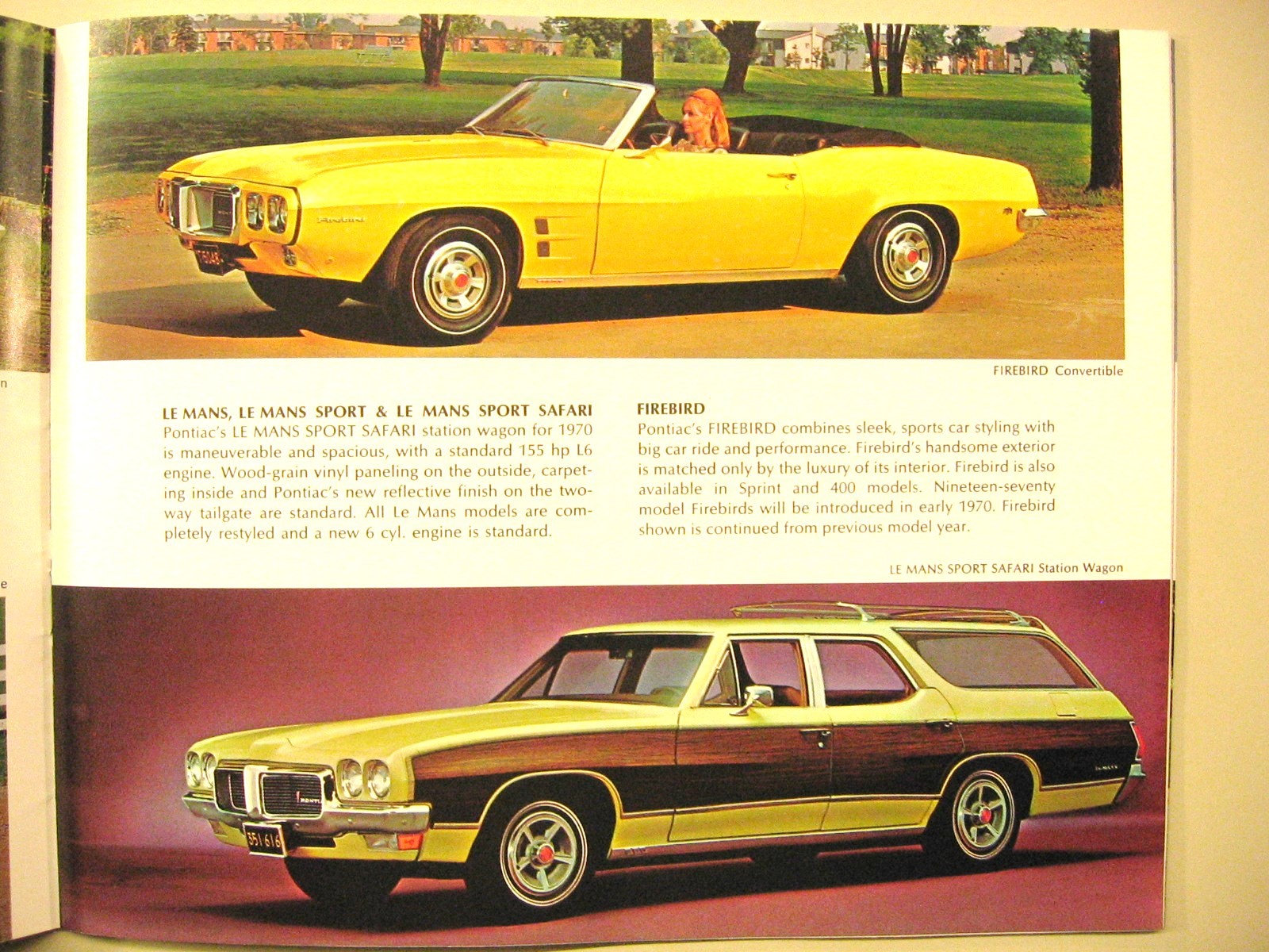 Mike noun - 1970 GM brochure - shows 1969 Firebird